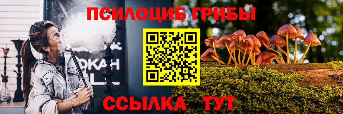 Галлюциногенные грибы Psilocybe Волоколамск