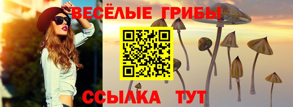 Волоколамск  Галлюциногенные грибы ЛСД  Псилоцибиновые грибы MAGIC MUSHROOMS  Вход с VPN 